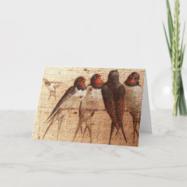 Cartão Barn Swallows, Father's Day