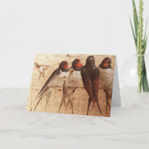 Cartão Barn Swallows, Father's Day