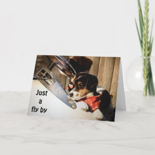 CARTÃO BARNSTORMING RUSSELL TERRIORS DIZEM 40º FELIZ