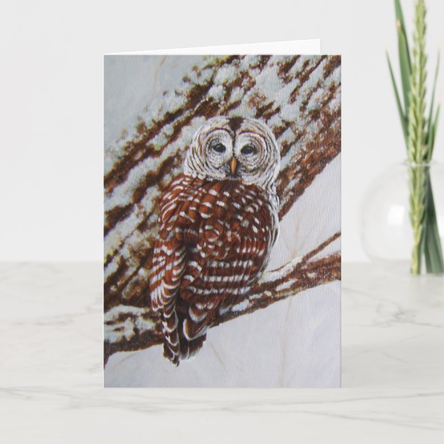 Cartão Barred Owl Greeting Card -blank inside (Frente)