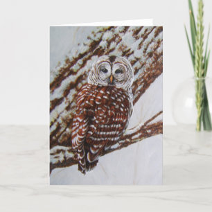 Cartão Barred Owl Greeting Card -blank inside