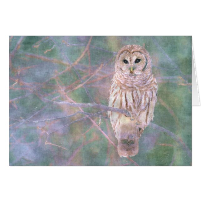 Cartão Barred Owl Pastel Oilpainting (Frente Horizontal)