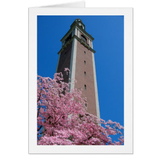 Cartão Baseado no rosa