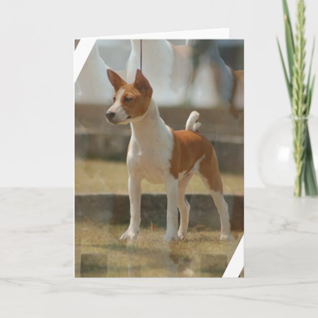 Cartão Basenji Greeting Card (Frente)