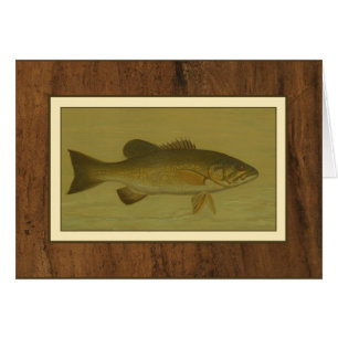 Cartão Bass Negro em um Fundo Verde