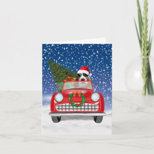 Cartão Basset Hound Cão Dirigindo Carro Na Neve Natal