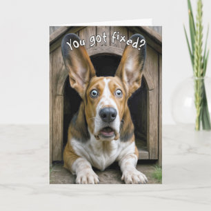Cartão Basset Hound de Vasectomia Surpresa