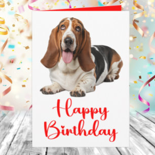 Cartão Basset Hound Engraçado Aniversário Amantes de Cães