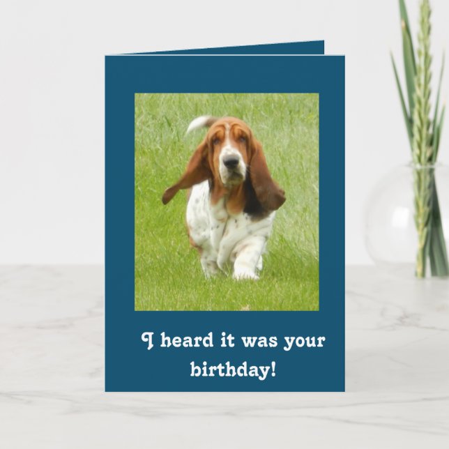 Cartão Basset Hound funny birthday card (Frente)