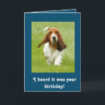 Cartão Basset Hound funny birthday card<br><div class="desc">Basset Hound funny birthday card</div>
