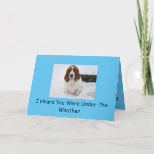 Cartão Basset Hound ganha um bom cartão.