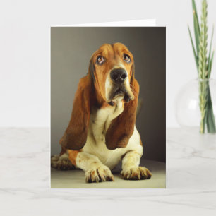 Cartão Basset Hound Puppy Dog Blank Note Card