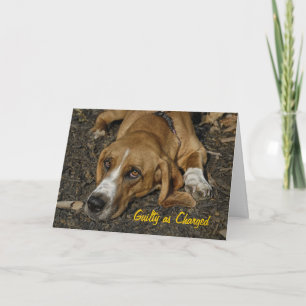 Cartão Basset Hound Rescue Dog Mable Apology