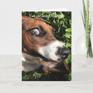 Cartão Bassett Hound Birthday Card Engraçado