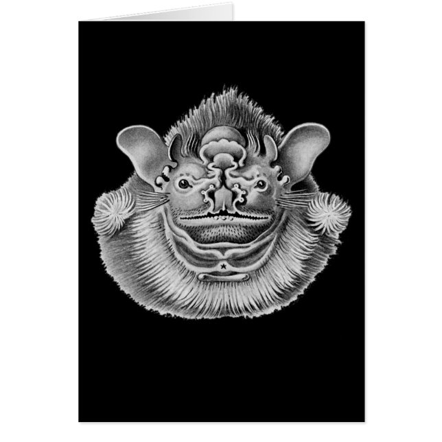 Cartão bastão Enrugamento-enfrentado (Frente)