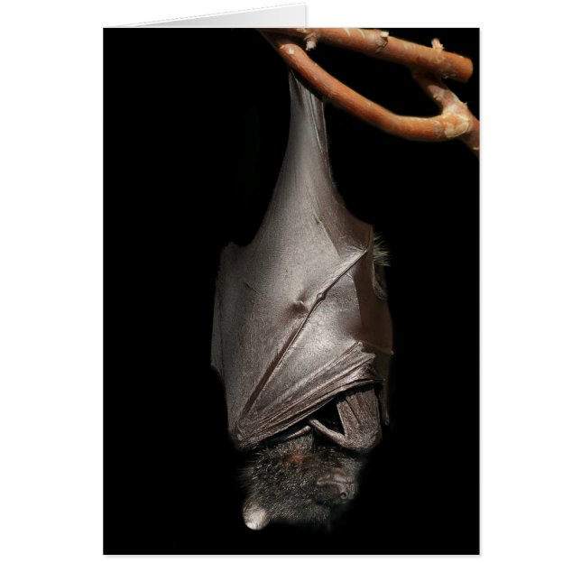 Cartão Bastão no preto (Frente)