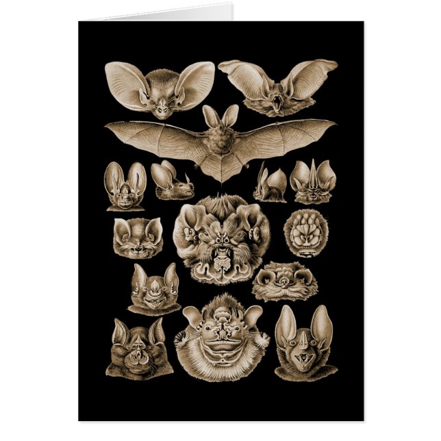 Cartão Bastões (Frente)