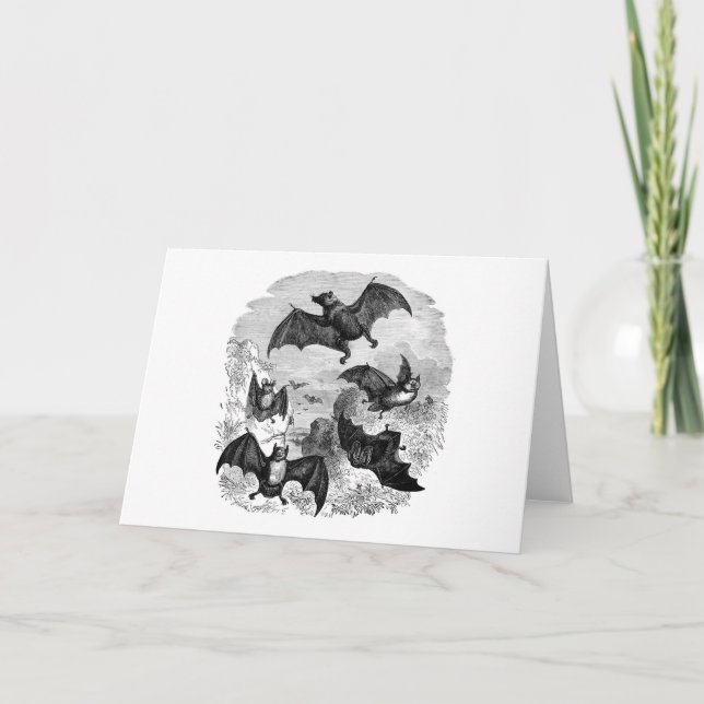 Cartão Bat Sketch (Frente)