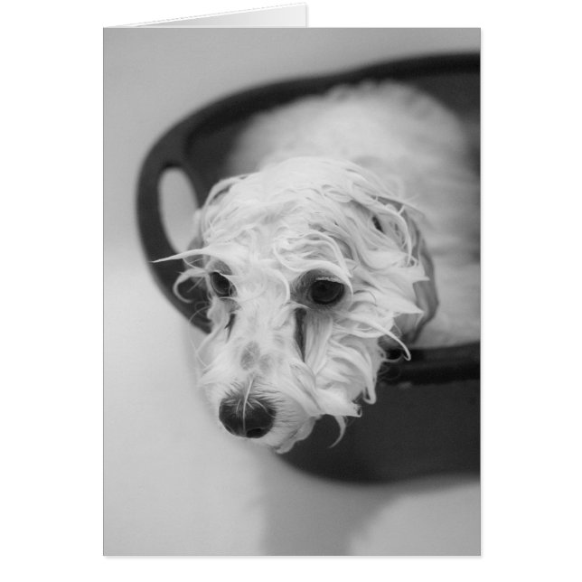 Cartão Bath Day (Frente)