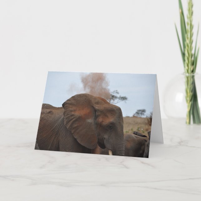 Cartão Bath Time (Frente)