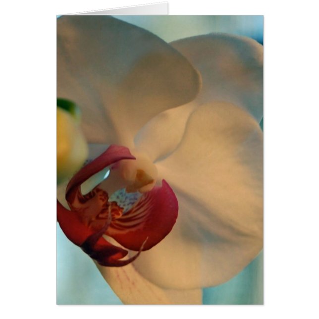 Cartão Batom (Frente)