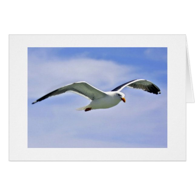 Cartão Bay Bird (Frente Horizontal)