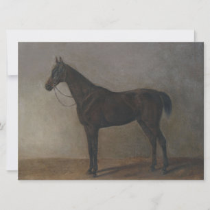 Cartão Bay Gelding Horse (por Albrecht Adam)