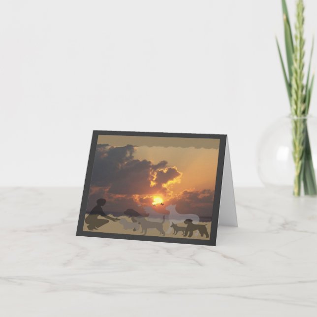 Cartão BCD Sunset Sympathy Card (Frente)