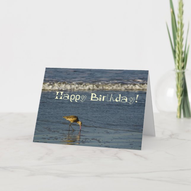 Cartão Beach Bird Happy Birday 4 (Frente)