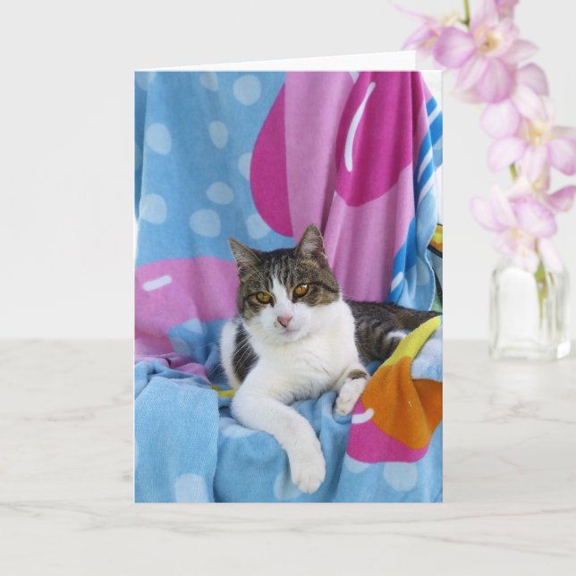 Cartão Beach Blanket Cutie (Orquídea)