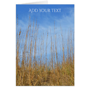 Cartão Beach Grass por Shirley Taylor