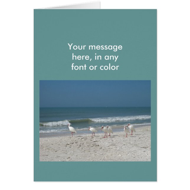 Cartão Beach Ibis (Frente)
