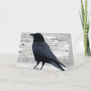 Cartão Beach Raven Notecard