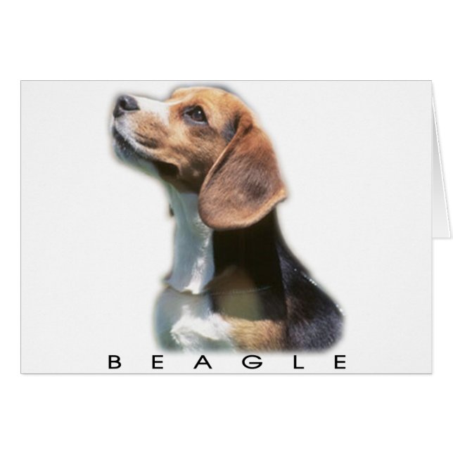 Cartão Beagle (Frente Horizontal)