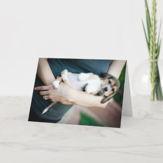 Cartão Beagle Babe Em Braços