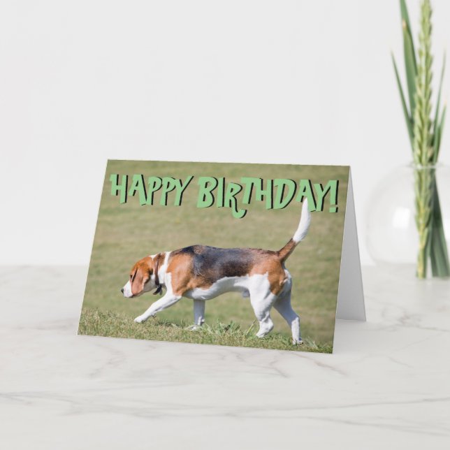 Cartão Beagle birthday card (Frente)