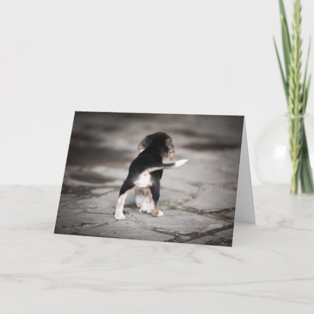 Cartão Beagle Bottom (Frente)