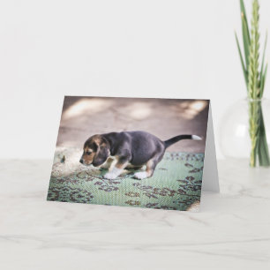 Cartão Beagle e Leaf