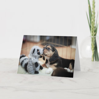 Cartão Beagle E Seu Novo Brinquedo