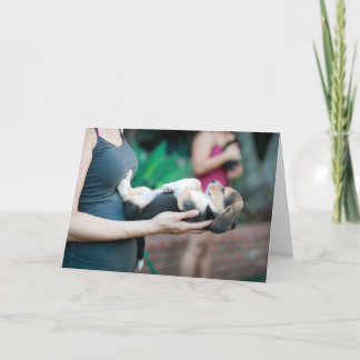 Cartão Beagle Horizontal