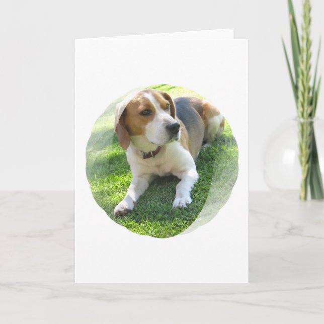 Cartão Beagle Hound Dog Greeting Card (Frente)
