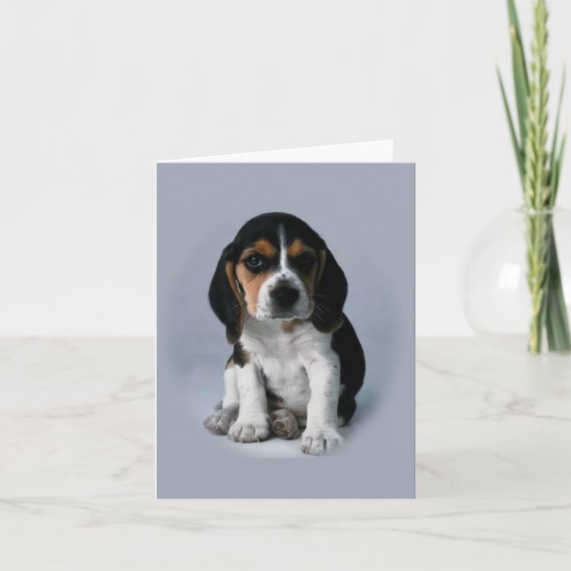 Cartão Beagle note cards (Frente)