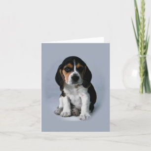 Cartão Beagle note cards