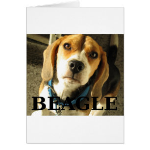 Cartão beagle pic w name