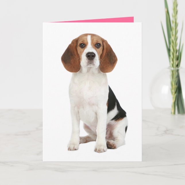 Cartão Beagle Puppy Dog Hello Thinkng of You Card (Frente)
