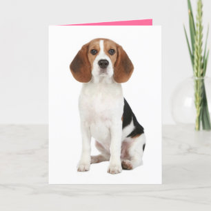 Cartão Beagle Puppy Dog Hello Thinkng of You Card