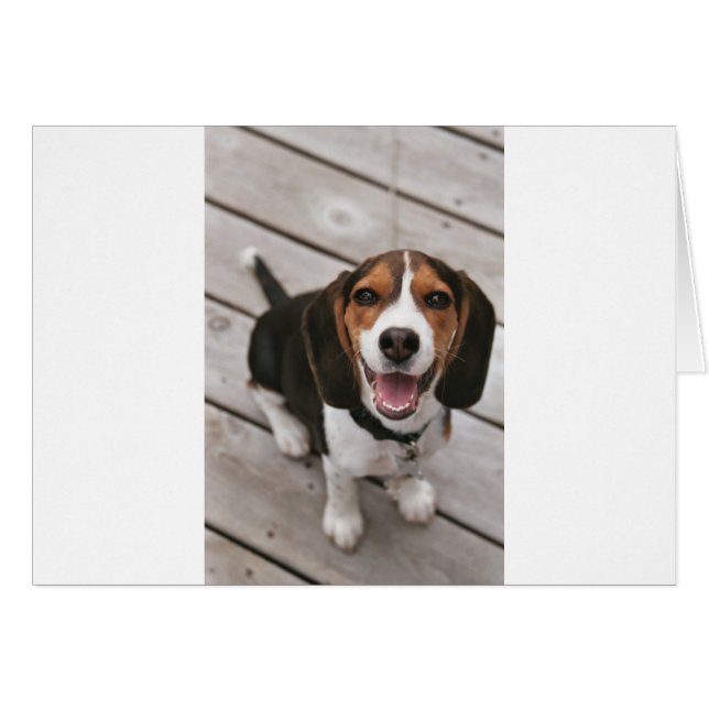 Cartão Beagle_puppy sat.png (Frente Horizontal)