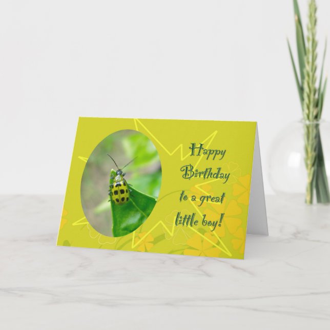 Cartão Bean Beetle Little Boy Birthday (Frente)