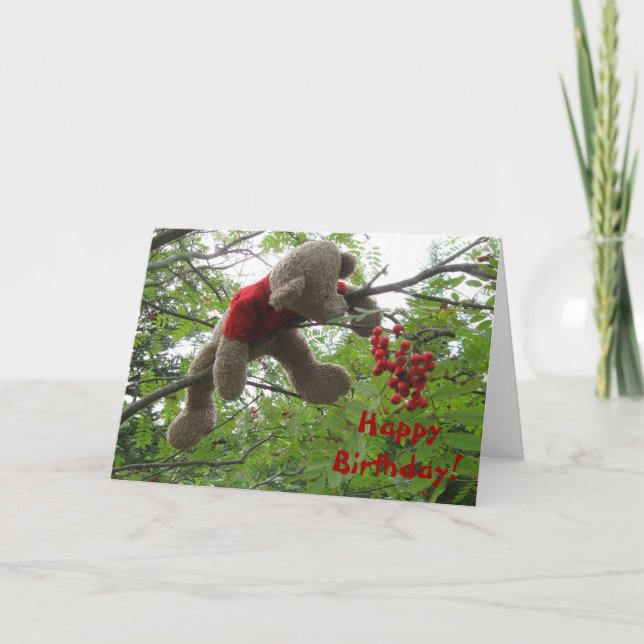 Cartão Bear Berries, Parabéns! (Frente)