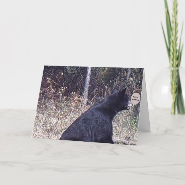 Cartão Bear birthday card (Frente)